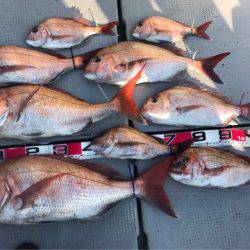 釣鯛洋 釣果
