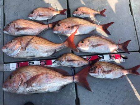 釣鯛洋 釣果