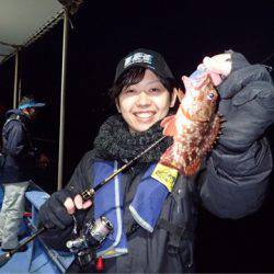 ヤザワ渡船 釣果