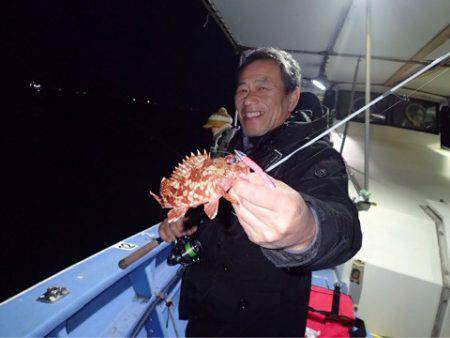 ヤザワ渡船 釣果