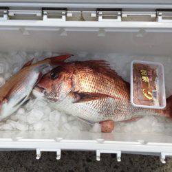 第二八坂丸 釣果