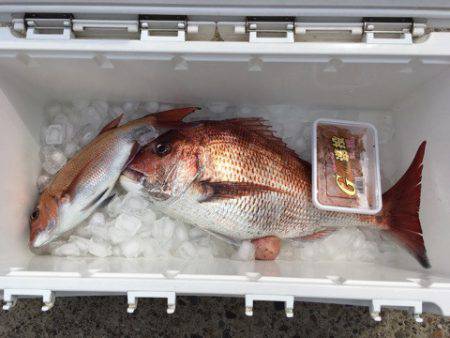 第二八坂丸 釣果