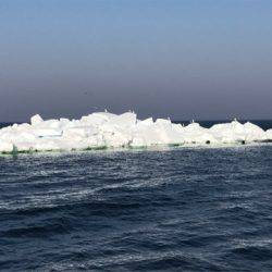 第二 つれたか丸 釣果