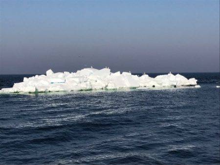 第二 つれたか丸 釣果