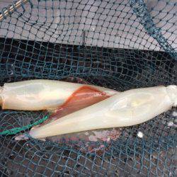 第二龍勢丸 釣果