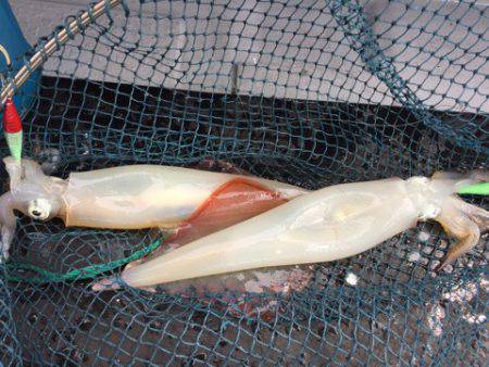 第二龍勢丸 釣果