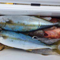 第二龍勢丸 釣果