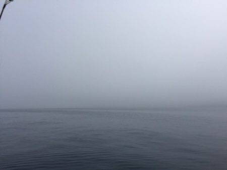 第二龍勢丸 釣果