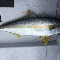 第二龍勢丸 釣果