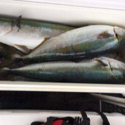 第二龍勢丸 釣果