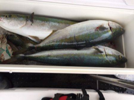 第二龍勢丸 釣果