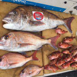 末広丸(熊本) 釣果