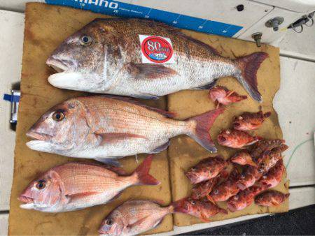 末広丸(熊本) 釣果