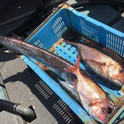 ＴＡＲＯＭＡＲＵ 釣果