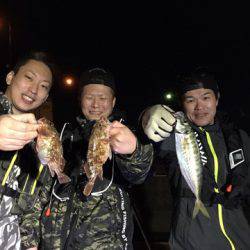 うさぎ丸 釣果