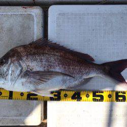 龍神丸（鹿児島） 釣果