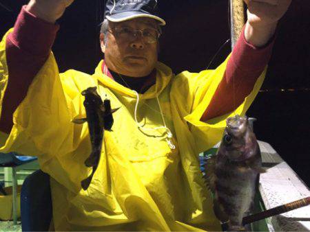 ヤザワ渡船 釣果