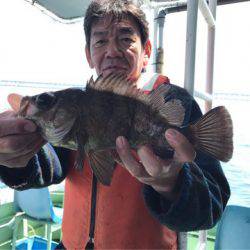 ヤザワ渡船 釣果