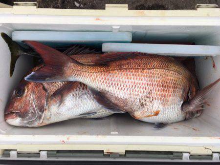 第二八坂丸 釣果