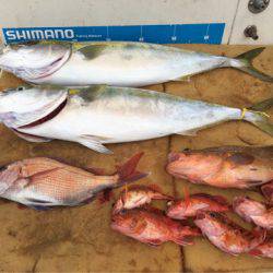 末広丸(熊本) 釣果