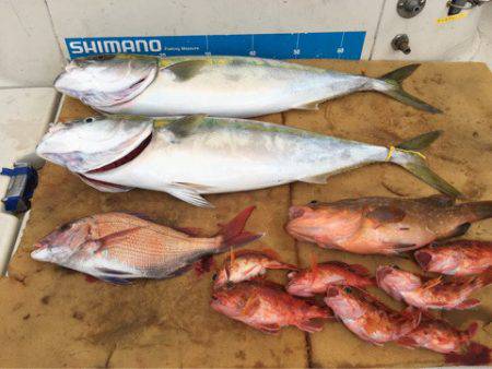 末広丸(熊本) 釣果