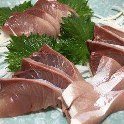 末広丸(熊本) 釣果