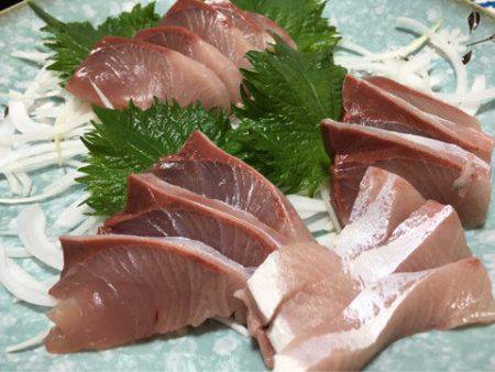 末広丸(熊本) 釣果