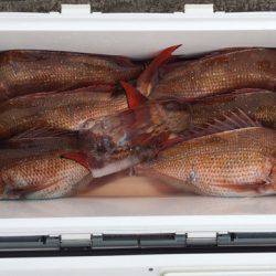 第二八坂丸 釣果