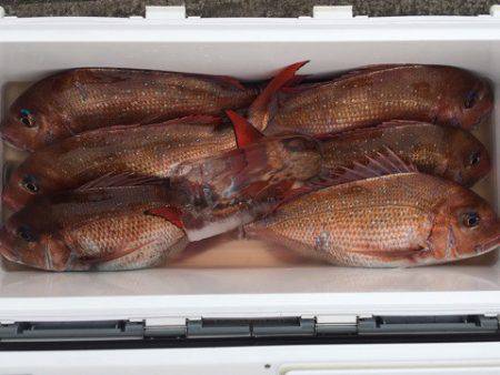 第二八坂丸 釣果