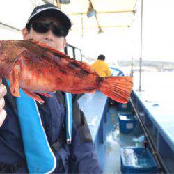 ヤザワ渡船 釣果