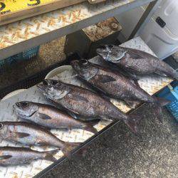 ＴＡＲＯＭＡＲＵ 釣果