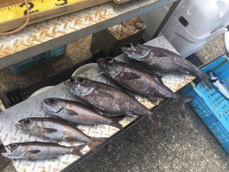 ＴＡＲＯＭＡＲＵ 釣果