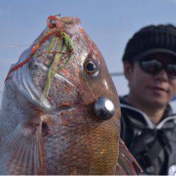 渡船屋たにぐち 釣果