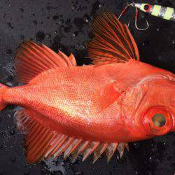 第二龍勢丸 釣果