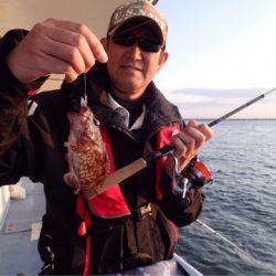 ヤザワ渡船 釣果