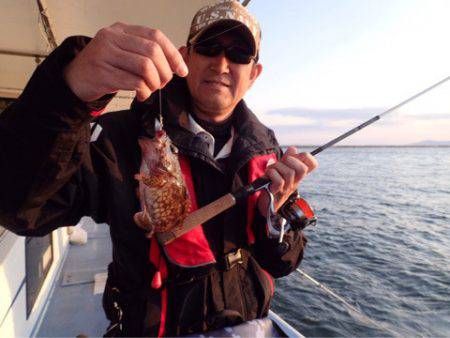 ヤザワ渡船 釣果