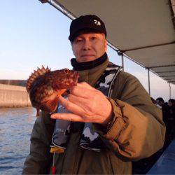 ヤザワ渡船 釣果