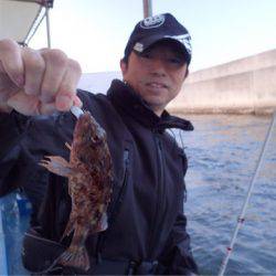 ヤザワ渡船 釣果