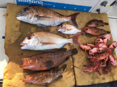 末広丸(熊本) 釣果