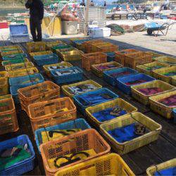 釣り堀水宝 釣果