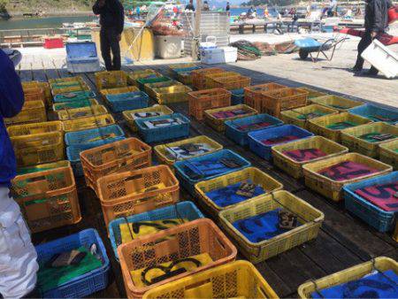 釣り堀水宝 釣果