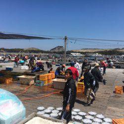 釣り堀水宝 釣果