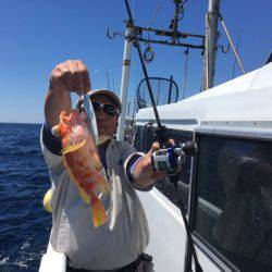 ＴＡＲＯＭＡＲＵ 釣果