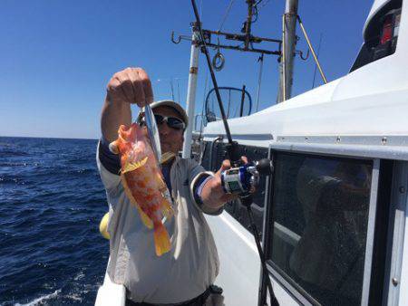 ＴＡＲＯＭＡＲＵ 釣果