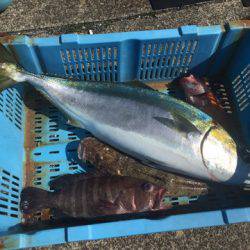 ＴＡＲＯＭＡＲＵ 釣果