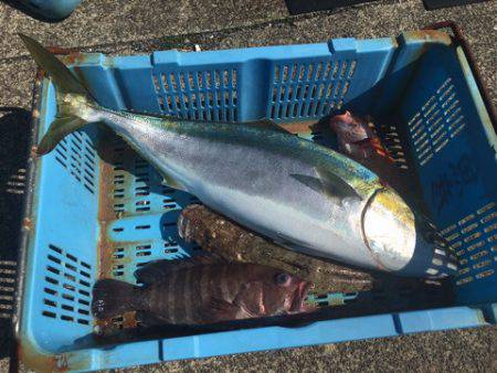 ＴＡＲＯＭＡＲＵ 釣果