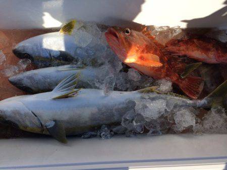 第二龍勢丸 釣果