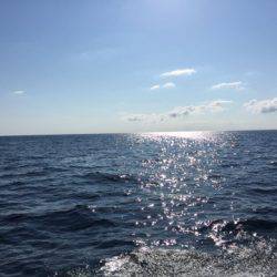 第二龍勢丸 釣果