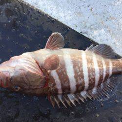 第二龍勢丸 釣果