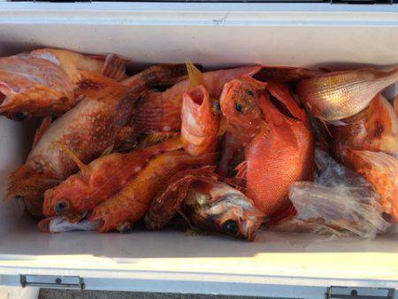 第二龍勢丸 釣果